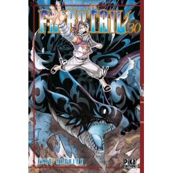 FAIRY TAIL T30 - Manga au prix de 7,20 €