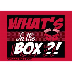 WHAT S IN THE BOX MANGA DIVERS - BOX au prix de 30,00 €